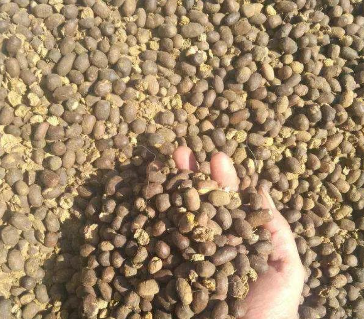 羊粪如何发酵做有机肥