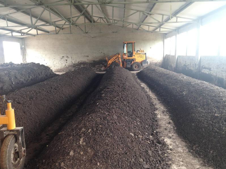 鸡粪、猪粪、牛粪的区别及快速简单的发酵方法